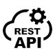 REST APIs
