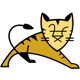 apache-tomcat